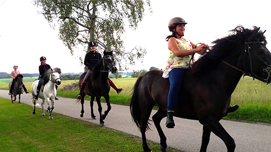 Mit den Ponys beim Baden