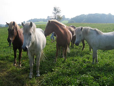 Mit Alexis beim Spielen